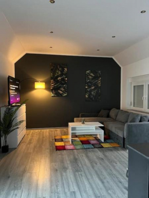Geräumige Einzimmerwohnung in Quakenbrück